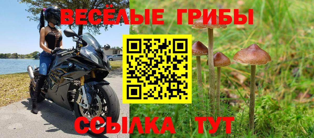 Галлюциногенные грибы Psilocybine cubensis  Вход с VPN  Дальнереченск  Псилоцибиновые грибы мухоморы 