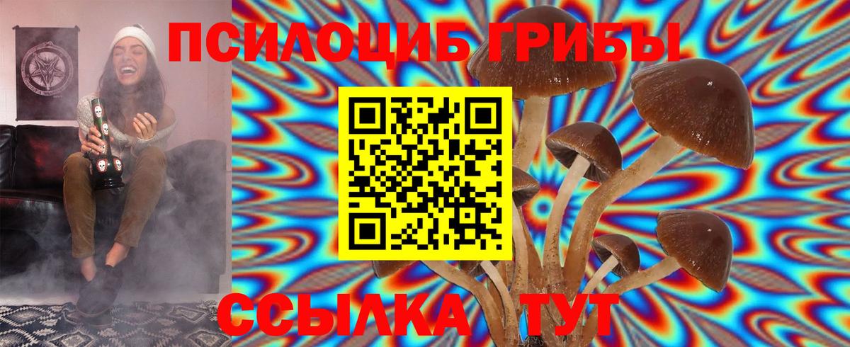Псилоцибиновые грибы MAGIC MUSHROOMS Дальнереченск